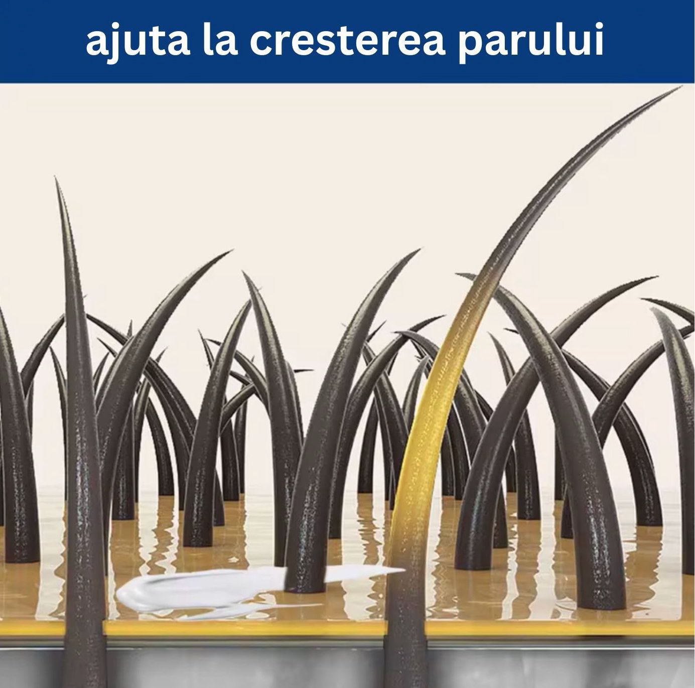 Crema Alopecie Par